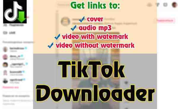 TikTok download video, audio and cover art