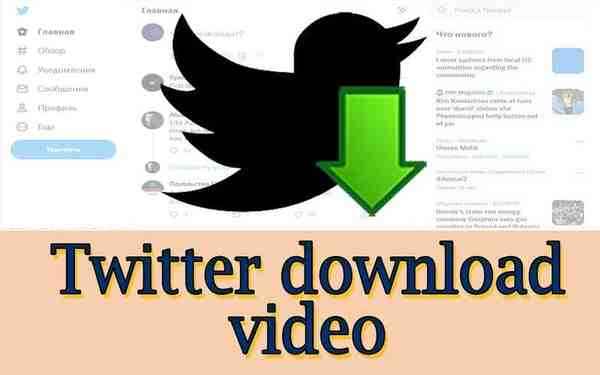 Twitter download video